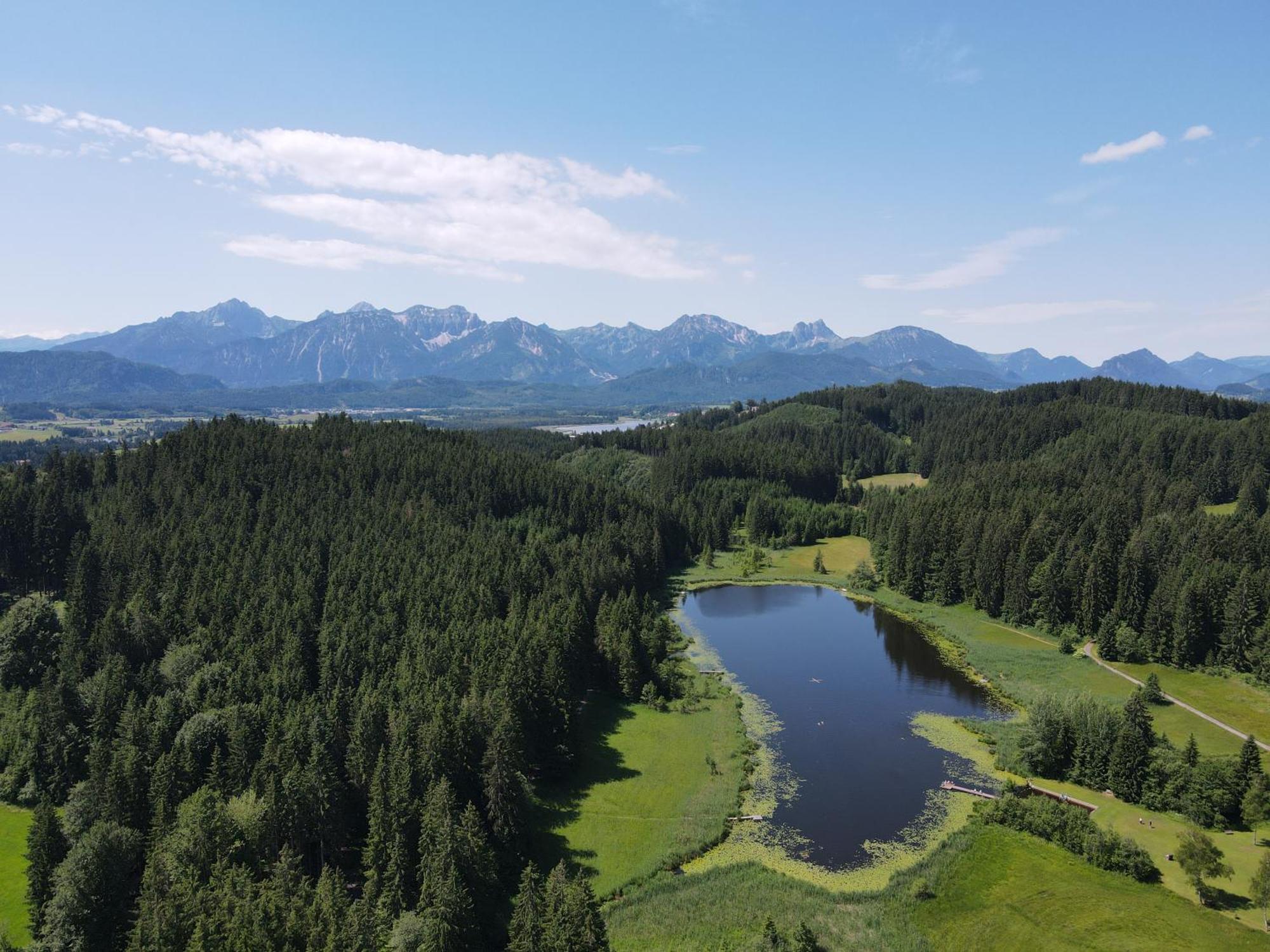 - - Biohof Stoeger - Panoramasuedbalkon - Grandiose Aussicht Auf See, Berge Und Schloss Neuschwanstein Rieden am Forggensee