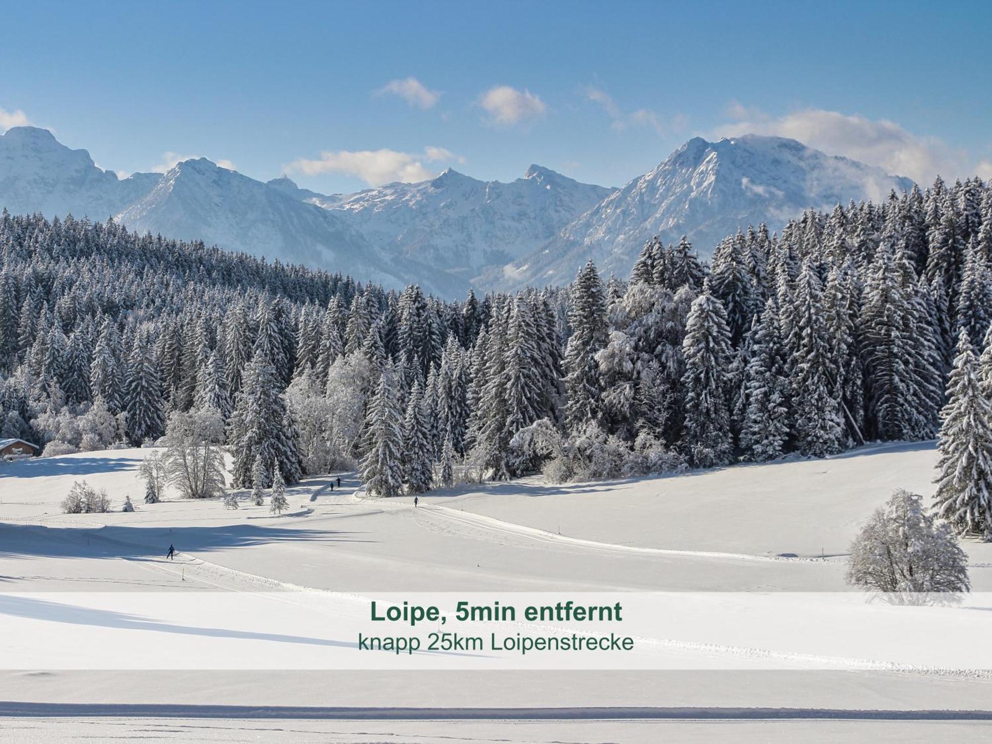 Apartment - - Biohof Stoeger - Panoramasuedbalkon - Grandiose Aussicht Auf See, Berge Und Schloss Neuschwanstein *
