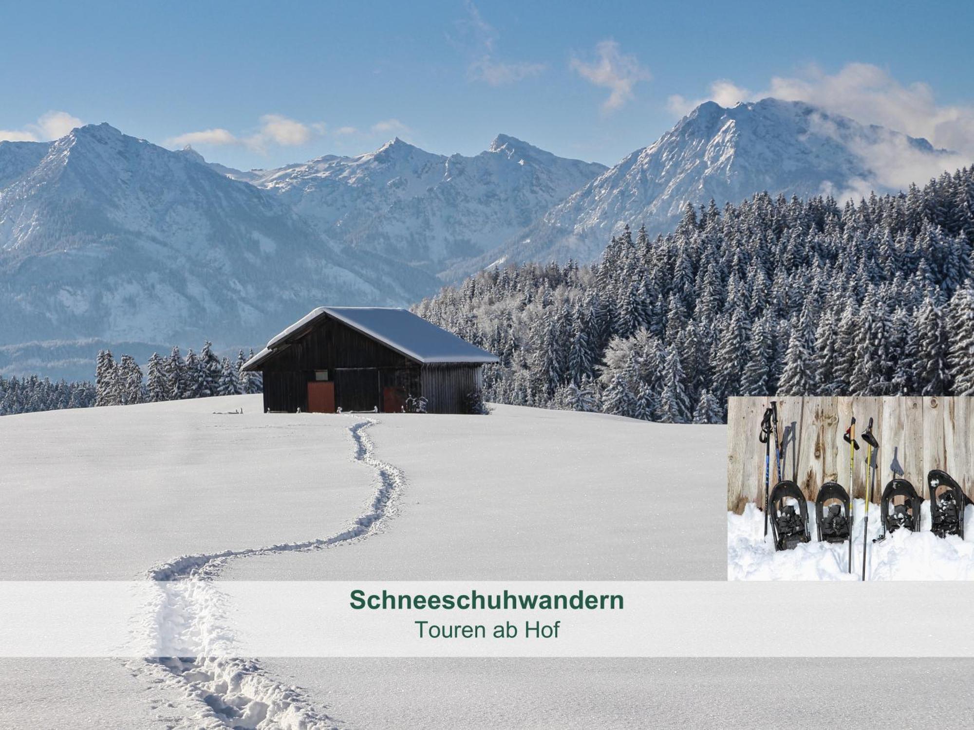 - - Biohof Stoeger - Panoramasuedbalkon - Grandiose Aussicht Auf See, Berge Und Schloss Neuschwanstein *
