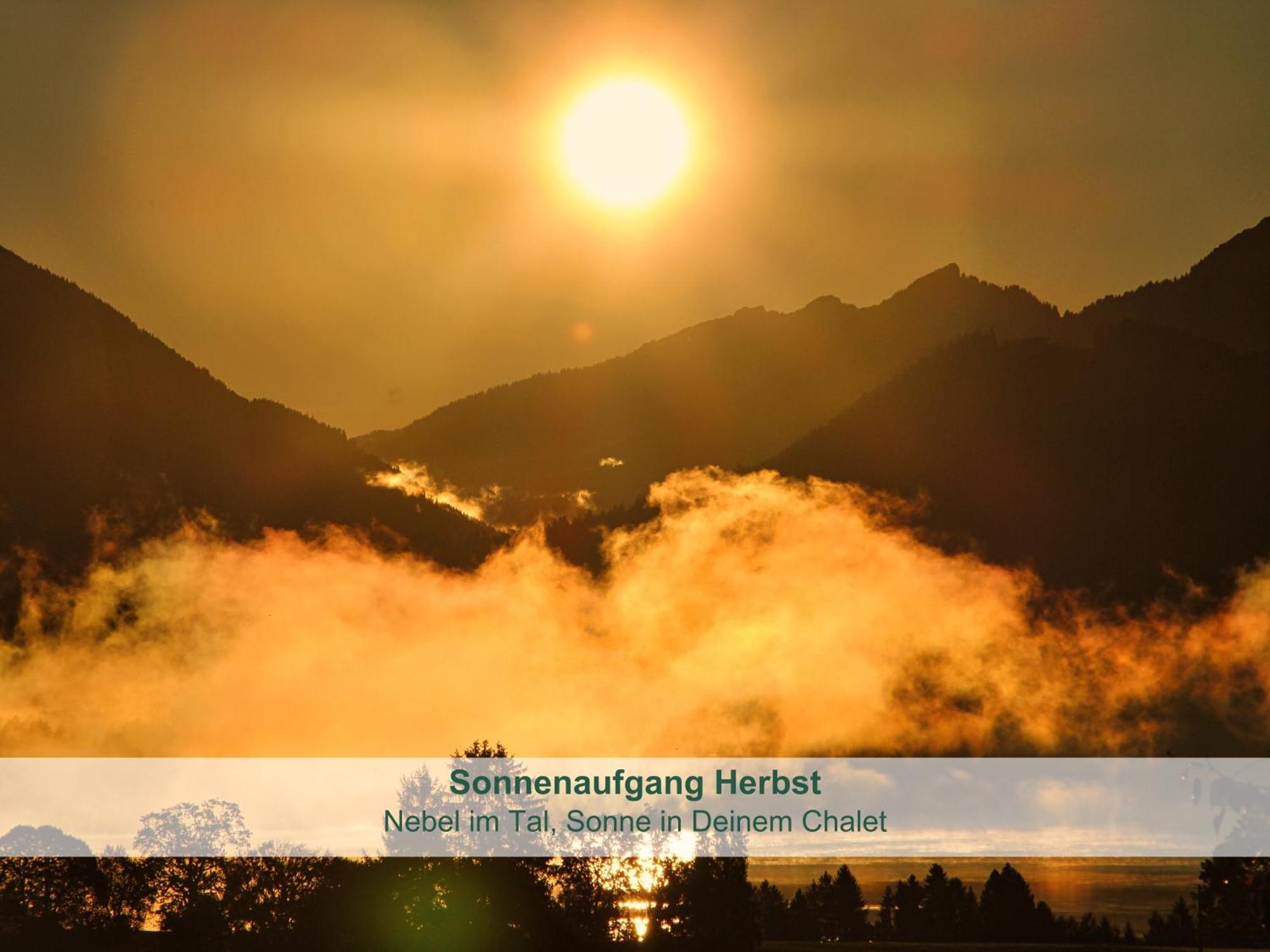 Apartment - - Biohof Stoeger - Panoramasuedbalkon - Grandiose Aussicht Auf See, Berge Und Schloss Neuschwanstein