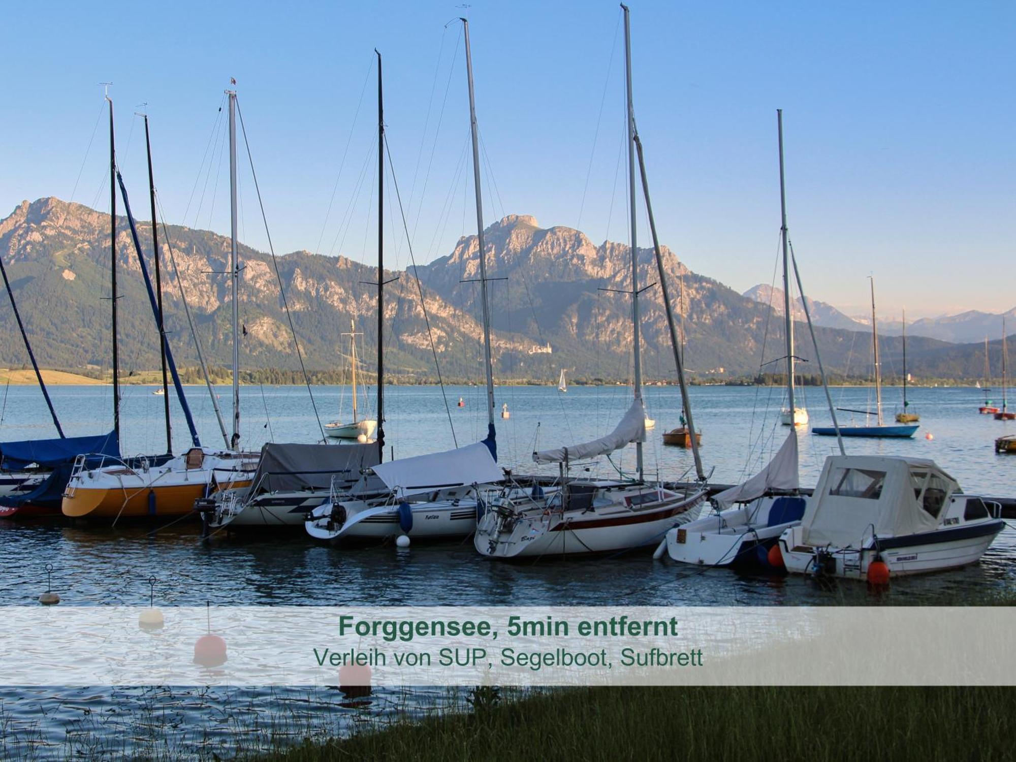 - - Biohof Stoeger - Panoramasuedbalkon - Grandiose Aussicht Auf See, Berge Und Schloss Neuschwanstein Rieden am Forggensee